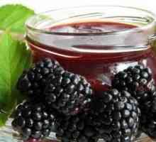 Blackberry jam - radost z chuti, hodně dobrá a skvělá nálada!