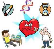 Rizikové faktory pro srdeční choroby a cév: vrozené, získané, se podařilo