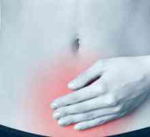 Endometria proliferační fáze typu: co to je