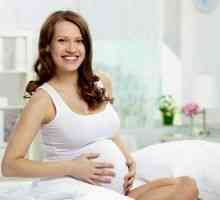 Vývoj a fetální hmotnost při 23 týdnech těhotenství