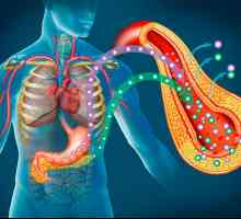 Pankreatické funkce vliv na celé tělo