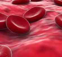 Hemoglobin a jeho normou u mužů