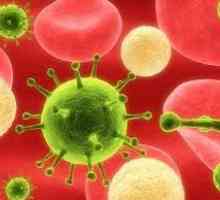 6 Typu herpes u dospělých
