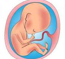 Hypoxie: prenatální, porod a chronické - příčiny, projevy, důsledky, léčba