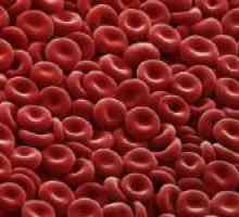 Hlavními důvody pro pokles červených krvinek