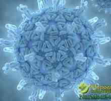 Hlavními příznaky jsou rotaviry, národní zacházení a stravu po nemoci