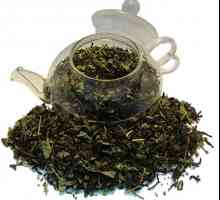 Horký čaj s meduňky byliny: nepopiratelný léčebný přínos