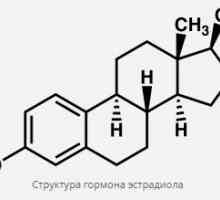 Hormon estradiol