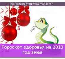 Zdravotní horoskop na rok 2013 rok hada