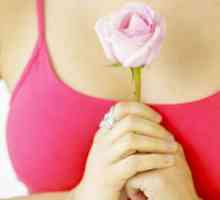 Charakteristika nádorových příčin list prsu