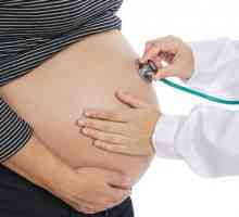 Chlamydia v krvi během těhotenství