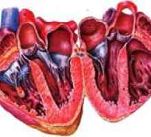 Příznaky vrozené a získané srdeční vady