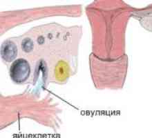 Informace o tom, jak najít gestační gynekologové