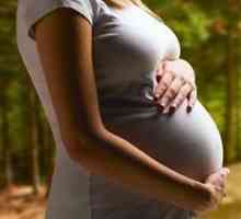 Účinný a bezpečný lék na hemoroidy v těhotenství