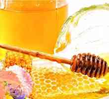 Účinná léčba žaludku aloe a medu