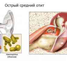 Účinnost léčby zánětu středního ucha s antibiotiky