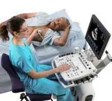Echokardiografie (ultrazvuk srdce): indikace, typy hospodářství, dekódování