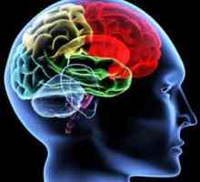 Mozek encefalopatie: druhy, příznaky a symptomy, léčba