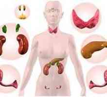 Endokrinní poruchy u žen: Symptomy, Diagnóza