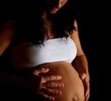 Eroze děložního čípku v průběhu těhotenství - identifikace a doporučení