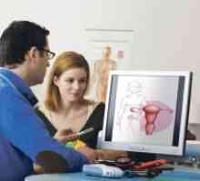 Jak je pánevní ultrazvuk: typy a postup s přezkoušením