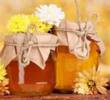 Jak uchovávat med doma
