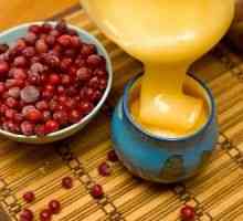 Cranberry s medem: užitečné vlastnosti, použití pravidla