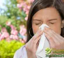Jak se k léčbě alergické rýmy u dospělých a dětí