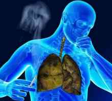 Jak čistit plíce kuřáka v domácnosti: čištění plic a průdušky nikotinu