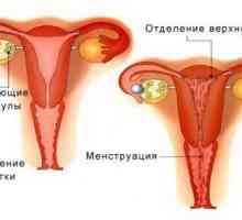 Jak se vám přestat menstruovat pokud jdou dlouho?