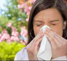 Jak vyhrát jarní alergie?