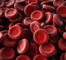 Jak ke zvýšení krevních destiček v krvi?