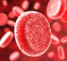 Jak zvýšit hemoglobin