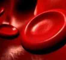 Jak ke zvýšení krevních destiček o lidových prostředků?
