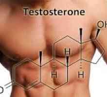 Jak zvýšit hladinu hormonu testosteronu v těle?