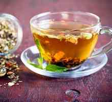 Jak uvařit čaj z parazitů doma?