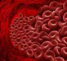 Jak snížit hladinu hemoglobinu v krvi: strava, léky a tradiční recepty
