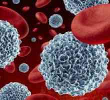 Jak snížit počet bílých krvinek v krvi