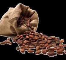 Kakaové boby: užitečné vlastnosti
