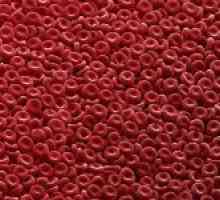 Co byliny mohou být použity ke snížení srážlivosti krve?