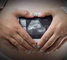 Jaké důsledky čekají ženu po mimoděložního těhotenství?