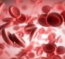 Podle toho, co je hemoglobin u žen považovány za normální. Vysoké a nízké hemoglobin.