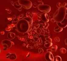 Jaký je podíl červených krvinek u dospělých a dětí? Důvody pro změny.