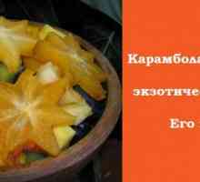 Karambol - „hvězda“ ovoce