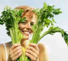 Spíž přírody: vlastnosti celeru šťávy