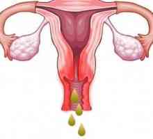 Coleitis během menstruace