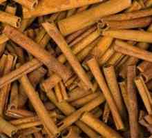 Cinnamon - přírodní zvyšující mužské síly