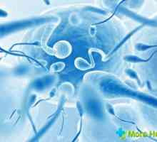 Jak zvýšit pohyblivost spermií: základní techniky