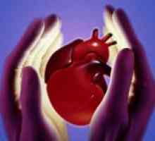 Koronárních cév srdce