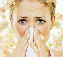Jak porazit alergii sezónu?
